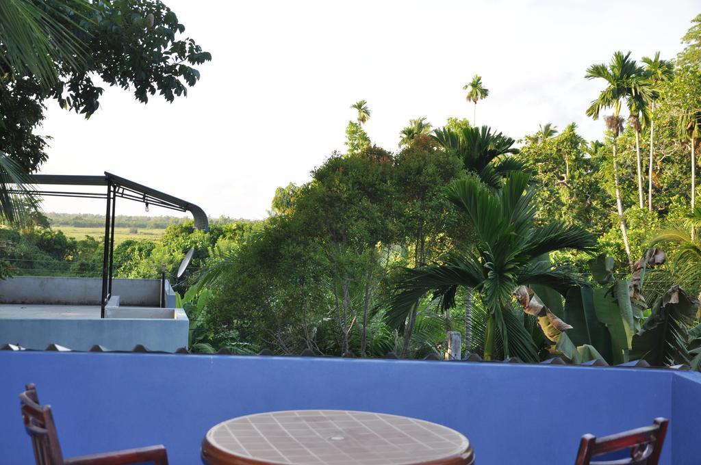 Bed and Breakfast The Fence à Bentota Extérieur photo