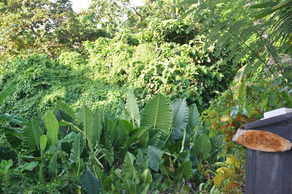 Bed and Breakfast The Fence à Bentota Extérieur photo