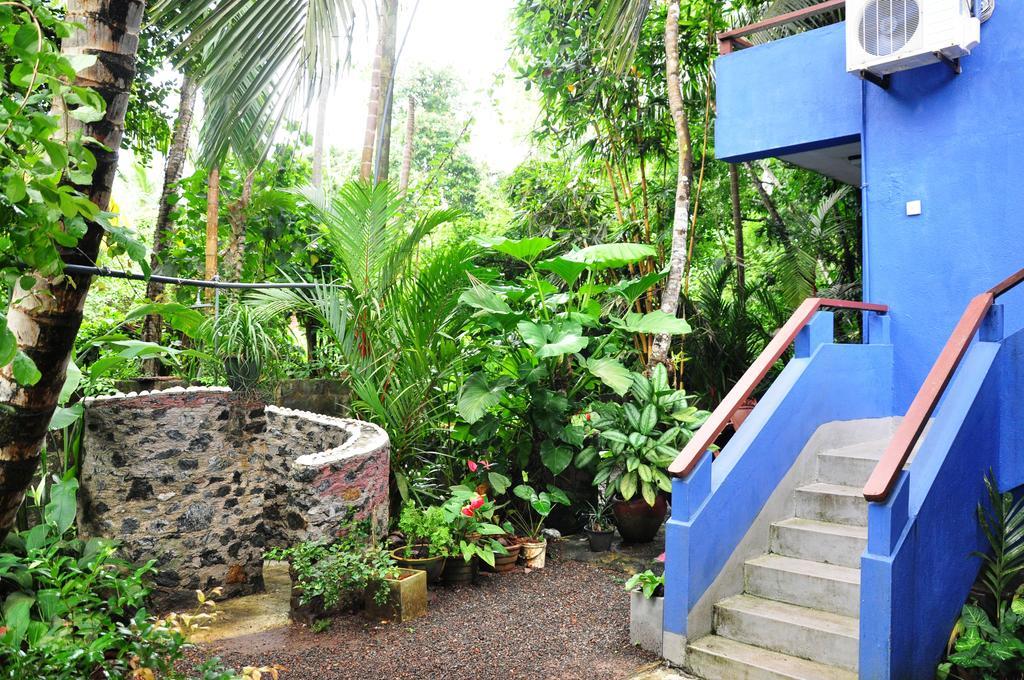Bed and Breakfast The Fence à Bentota Extérieur photo